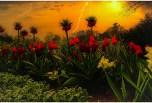 Казахстану прогнозируют грозы, град и шквалы