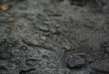 Сточные воды затопили жилые дворы в Атырау