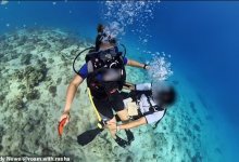 Инструктор по дайвингу домогался туристки прямо в море в Египте