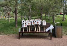 "Таза Қазақстан": в парке "Жетысу" установили скворечники для птиц