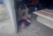 Более 150 кг наркотиков хранил в гараже житель Семея (ВИДЕО)