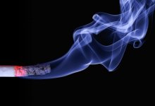 Сельчанин нашел дикорастущий гашиш и получил штраф в 121 тыс. тенге в Жамбылской области