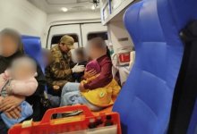 Шесть человек пострадало в ДТП с лошадью на трассе Кызылорда – Павлодар