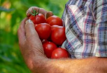 Где купить продукты подешевле в Астане