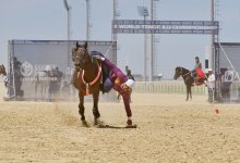Второй чемпионат мира по теңге ілу собрал около 50 спортсменов в Туркестане