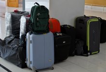 Туристка пыталась ввезти в Дубай двух медвежат в чемодане