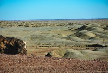 455 га пашни вернули в госсобственность в Костанайской области