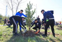 Карагандинцев пригласили на посадку деревьев на месте будущего экопарка