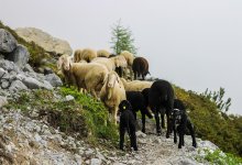 Курбан айт – 2026: что важно знать жителям Мангистау перед праздником