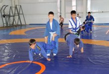 Даешь новых чемпионов!
