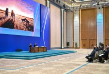 Токаеву и Путину представили проект по реинтродукции амурских тигров