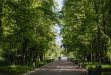 Главный ботанический сад Алматы закроют для посетителей