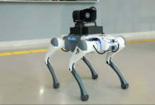 В Актау на службу заступили роботы-собаки