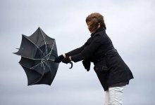 Где в Казахстане ждать ливни, а где – жару до +40: прогноз на 1 июня