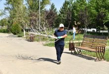 "Таза бейсенбі": экологическая акция как яркий пример заботы и ответственности