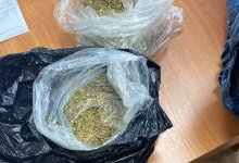 Собака Детектив не пропустила запрещенку осужденному в Уральске