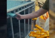 Контрабанду сигарет на 180 млн тенге пытались ввезти в Казахстан через Жамбылскую область (ВИДЕО)