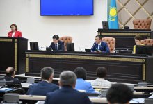 Депутаты Сената рассмотрели закон об амнистии