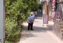 Кызылординец справил нужду на улице и прославился на весь Казахстан (ВИДЕО)