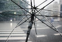 Непогода задержится: прогноз обещает грозовые дожди в Шымкенте