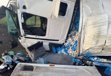 Перевозивший 17 тонн грибов грузовик опрокинулся в Акмолинской области