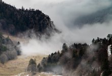 Лесной пожар тушат в ВКО