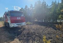 Молния подожгла лесную подстилку в Акмолинской области