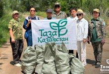 Более 177 тысяч экологических нарушений выявлено в Казахстане с начала года