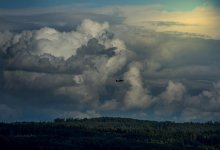 Самолет из Алматы экстренно ушел на запасной аэродром из-за шторма над Шымкентом