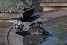 Казахстан накроют ливни с грозами и экстремальная жара