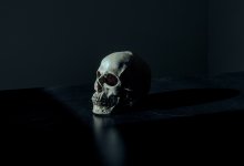 Пять человеческих голов нашли в морозилке медцентра