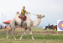 Когда оживают корни