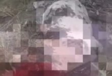 Корова погибла в вязкой массе возле железной дороги: жители жалуются на опасный участок в области Жетысу (ВИДЕО)