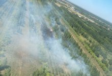 Сразу пять лесных пожаров вспыхнули в Казахстане за сутки