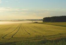 Земли на 443 млн тенге вернули государству в Улытауской области