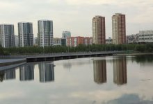 Ботанический сад превращают в свалку в Астане (ВИДЕО)