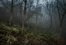 Жена с любовником расчленили супруга и выбросили останки в лес в Индии