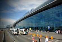 Клопы атаковали пассажиров в аэропорту Домодедово