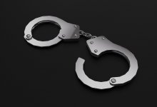 Пойманные воры меди оказались извращенцами, насиловавшими животных на камеру
