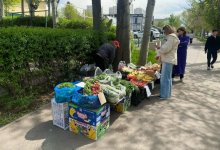 Семь крупных точек стихийной торговли ликвидировали в Алматы