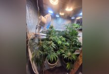 Синтетическая угроза