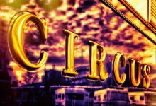 Стали известны обладатели наград IV Almaty Circus Festival (ВИДЕО)