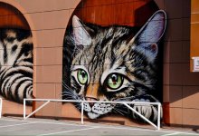 Огромный кот "поселился" на стене дома в Астане