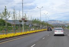 Алматы ждет 32-градусная жара