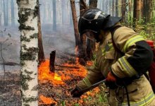 В Минэкологии рассказали, где в Казахстане горел лес 28 июля