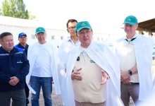 Председатель партии "Ауыл" встретился с коллективом центра по племенному делу в Косшы