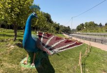 Жара не отступает: 31 июля в Алматы столбики термометров покажут +36