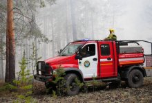 В трех регионах Казахстана зафиксировали шесть лесных пожаров
