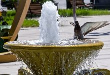 Испытание зноем: 42-градусная жара накроет Шымкент