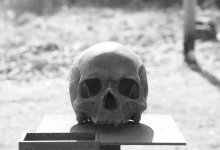 Человеческие останки обнаружили на территории бывшего стадиона в Семее